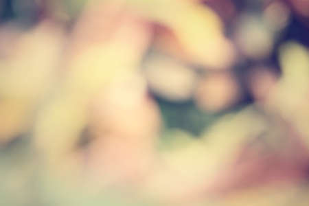 blurred colorful backgroundの写真素材