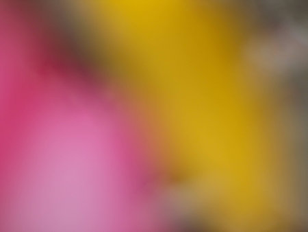 blurred flower backgroundの写真素材