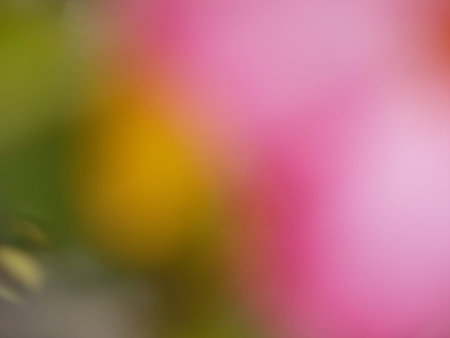 blurred flower backgroundの写真素材