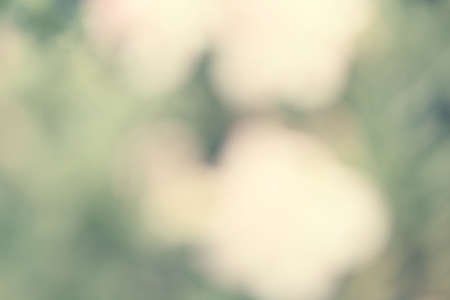 blurred vintage backgroundの写真素材