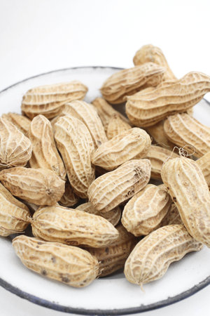 Peanutsの写真素材