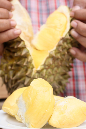 Durian.の写真素材