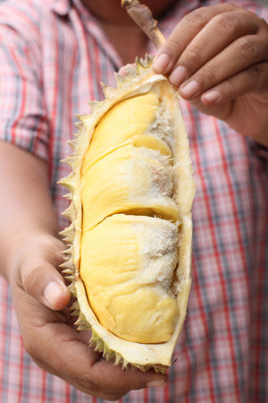 Durian.の写真素材