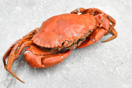 Crabの写真素材