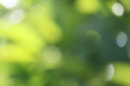 blurred nature background
