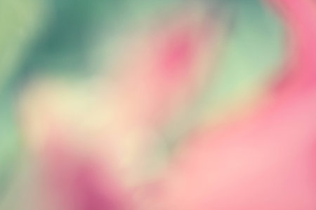 blurred flower backgroundの写真素材