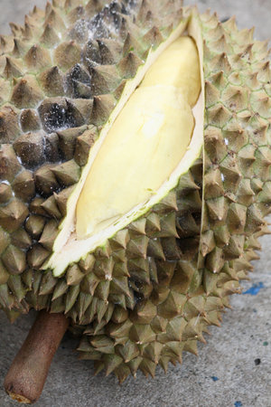 Durian.