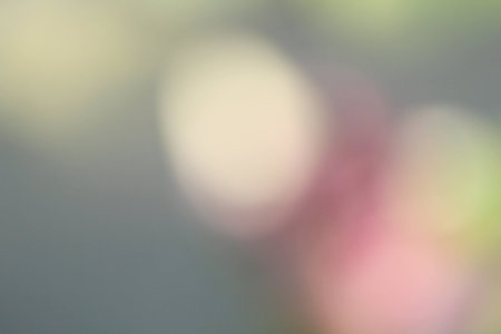 blurred vintage background
