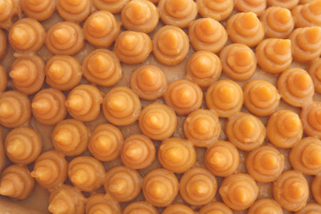 candles の写真素材