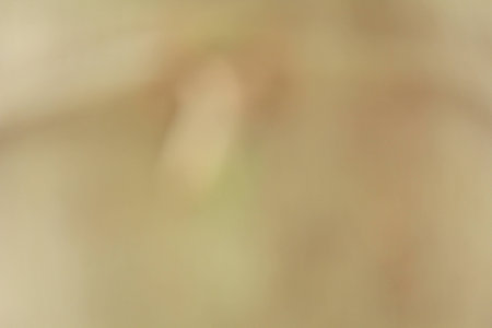 blurred brown backgroundの写真素材