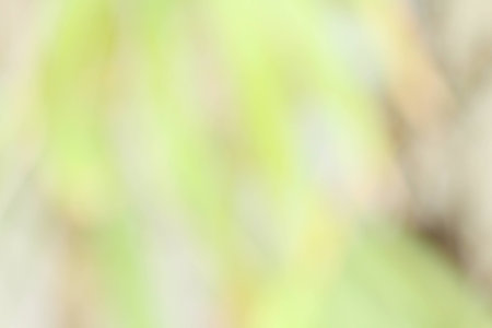 blurred vintage backgroundの写真素材