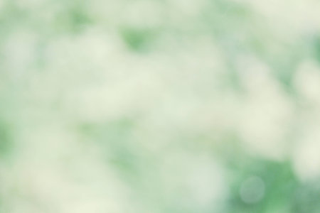 blurred nature backgroundの写真素材