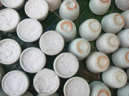 Coconut milk mix sugar and flour. の写真素材