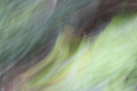blurred light trails 