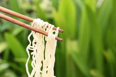 noodlesの写真素材