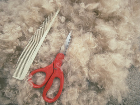 Grooming - dog hair background 