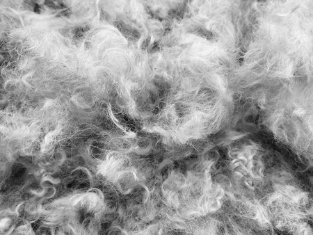 Dog hair backgroundの写真素材