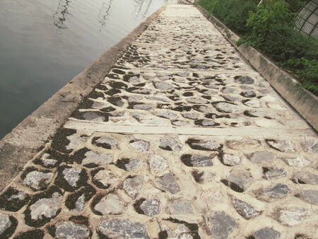 way in the park.の写真素材