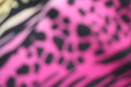 Blurred colorful backgroundの写真素材