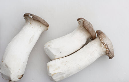 mushroomsの写真素材