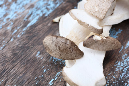 mushroomsの写真素材