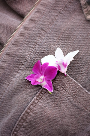 white orchidの写真素材