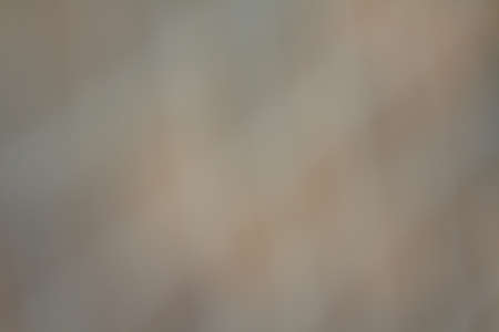 blurred gray backgroundの写真素材