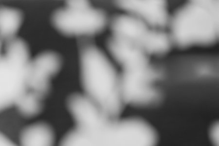 blurred gray backgroundの写真素材