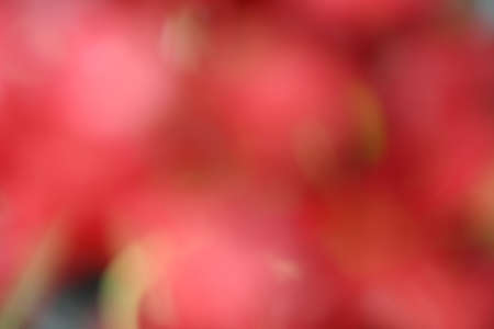 blurred red backgroundの写真素材