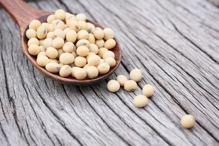 Soy beans の写真素材