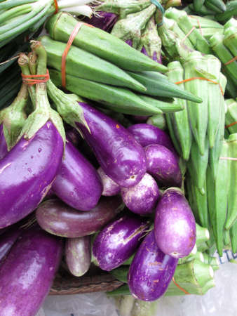 okra and eggplantの写真素材