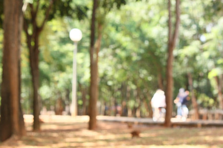 Blurred of bicycle in park