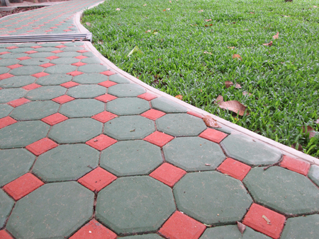 Green grass and wayの写真素材