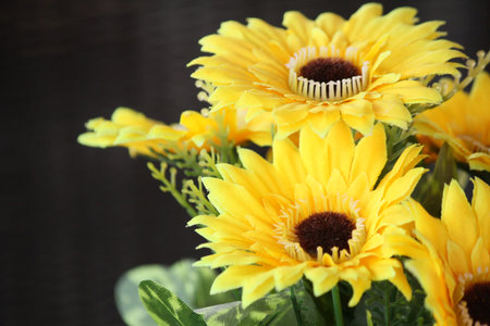 sunflowers close up