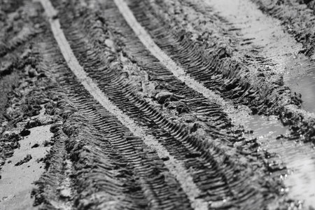Wheel tracks on the soil.
