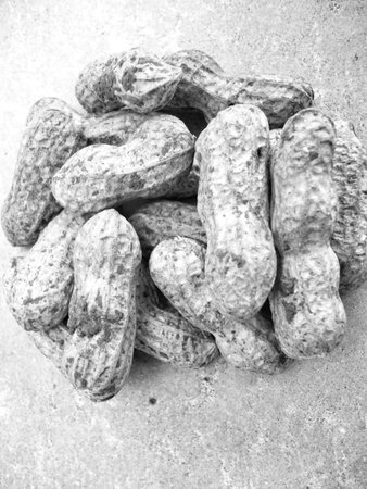 Peanuts