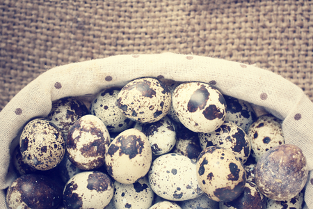 quail eggs の写真素材
