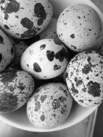 quail eggsの写真素材