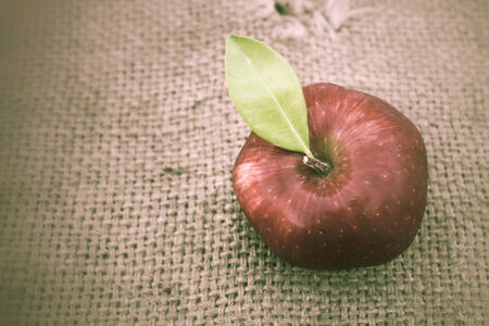 red appleの写真素材