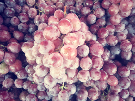 Fresh grapesの写真素材