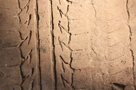 Wheel tracks on the soil.の写真素材
