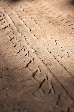 Wheel tracks on the soil.の写真素材