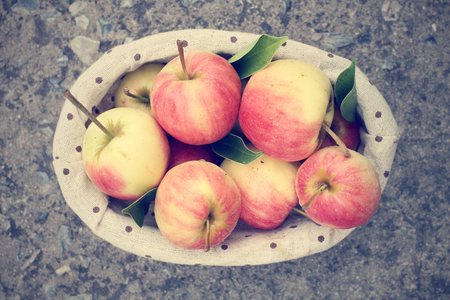 red applesの写真素材