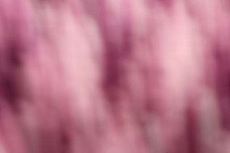 Pink backgroundの写真素材