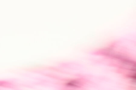 Pink wallpaperの写真素材