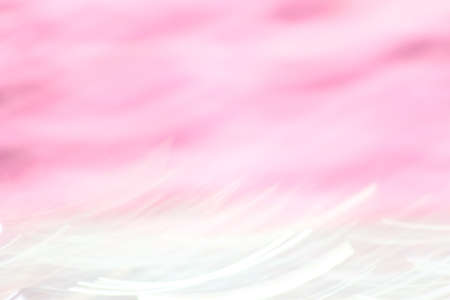 Pink backgroundの写真素材