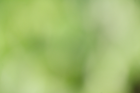 Blurred of natureの写真素材
