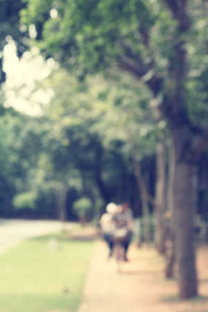 blurred of parkの写真素材