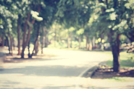 blurred forest and roadの写真素材