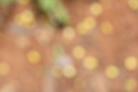 Blurred of autumn forestの写真素材